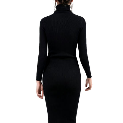 Women's Autumn Winter Knitted Turtleneck Bodycon Dress with Long Sleeves