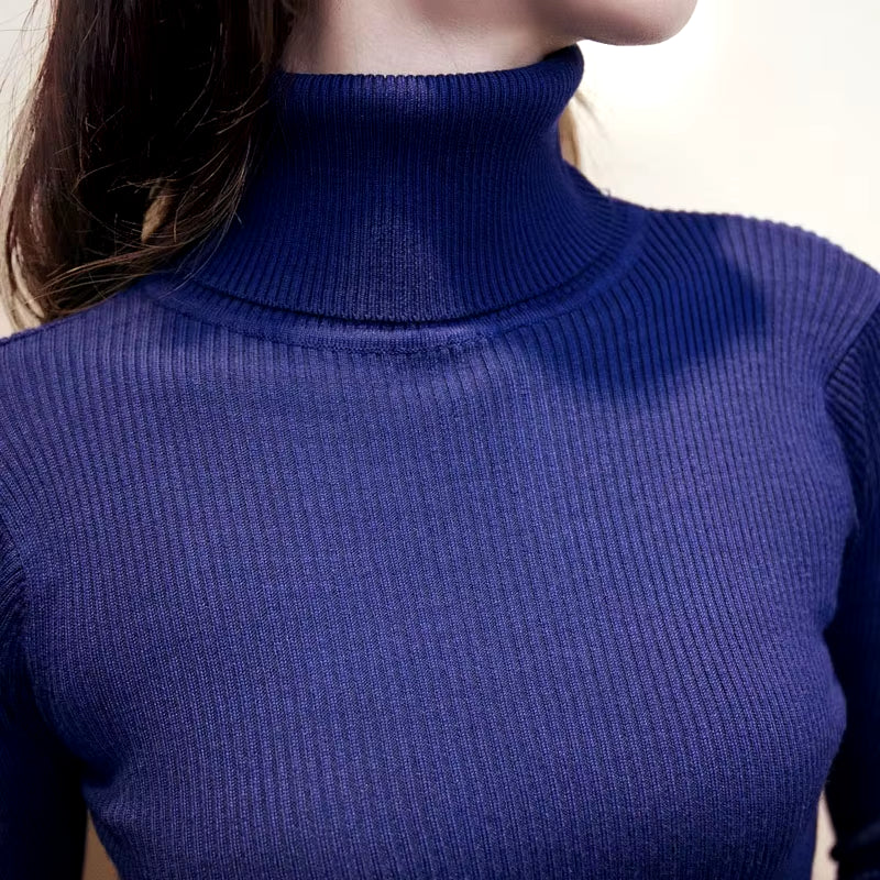Women's Autumn Winter Knitted Turtleneck Bodycon Dress with Long Sleeves